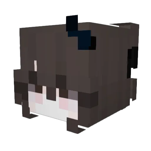 Elqgant Minecraft avatar head, 3D render