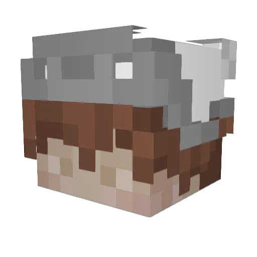 Elqxhttps Minecraft avatar head, 3D render