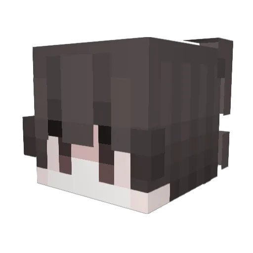 Elrompetilines Minecraft avatar head, 3D render