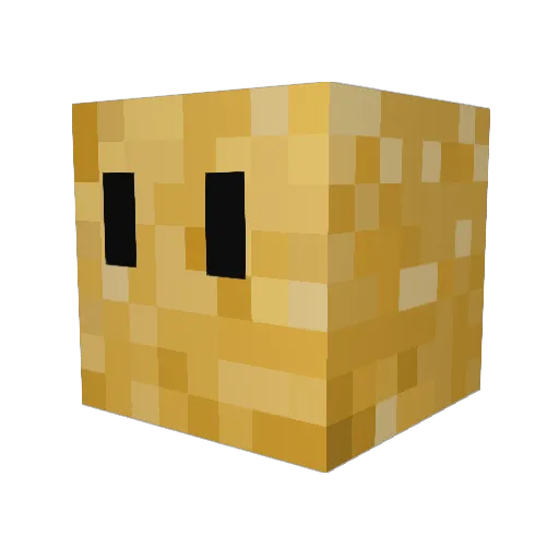 ElsGoogleplex Minecraft avatar head, 3D render
