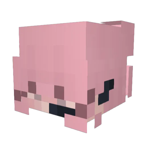 ElsMisfits Minecraft avatar head, 3D render