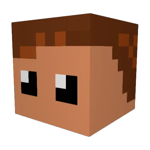 Elsagio Minecraft avatar head, 3D render