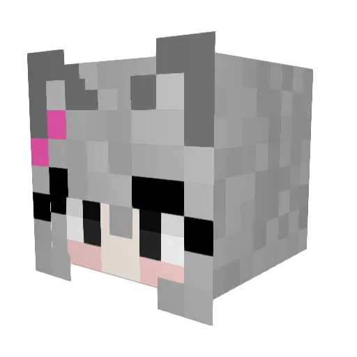 Elsapelsa200 Minecraft avatar head, 3D render