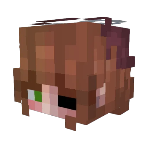 Elsaquitodedormi Minecraft avatar head, 3D render
