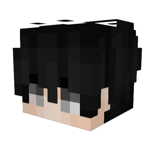 Elser5 Minecraft avatar head, 3D render