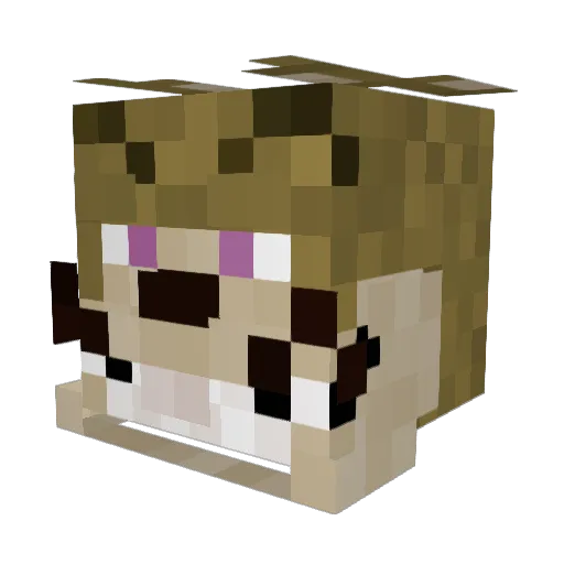 Elserzzz Minecraft avatar head, 3D render