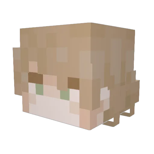 Elshurigan Minecraft avatar head, 3D render