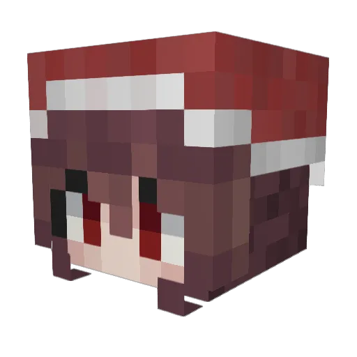 Elsi13 Minecraft avatar head, 3D render