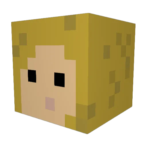 Elsi2006 Minecraft avatar head, 3D render