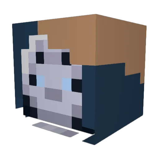 ElsieBooty Minecraft avatar head, 3D render