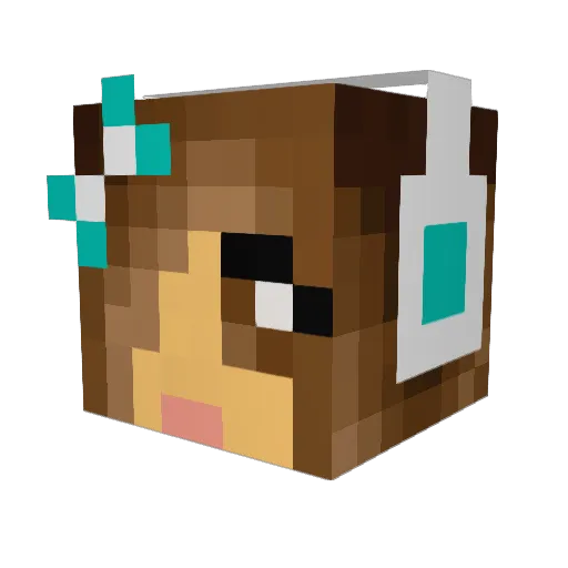 Elsou14 Minecraft avatar head, 3D render