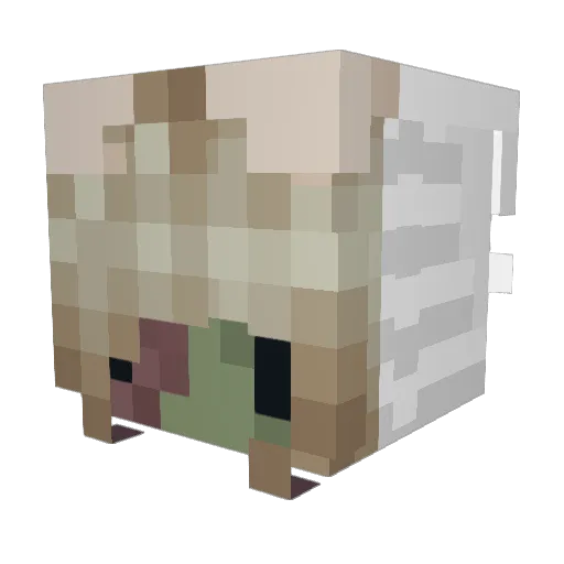 ElsterRawrs Minecraft avatar head, 3D render