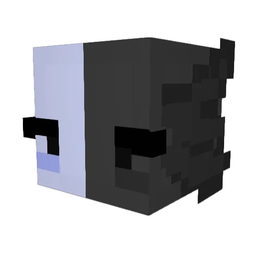 Elsucioboy Minecraft avatar head, 3D render