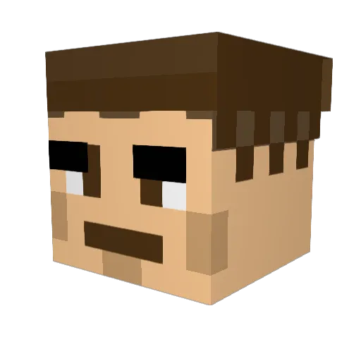 Elsx5001 Minecraft avatar head, 3D render