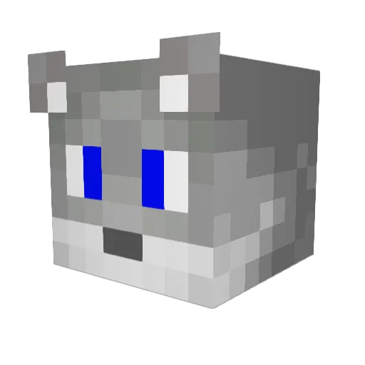 Eltenjon Minecraft avatar head, 3D render