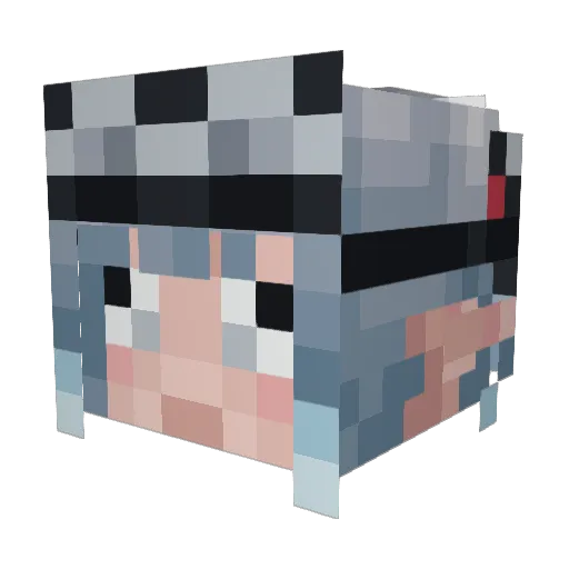Elter321 Minecraft avatar head, 3D render