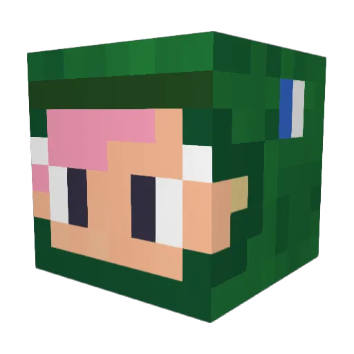 Elton0624 Minecraft avatar head, 3D render