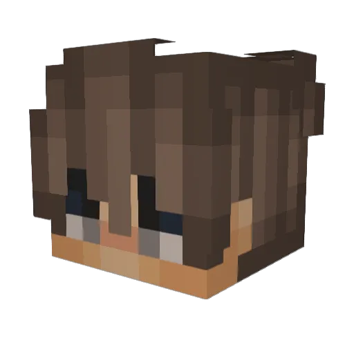 Eltro23 Minecraft avatar head, 3D render