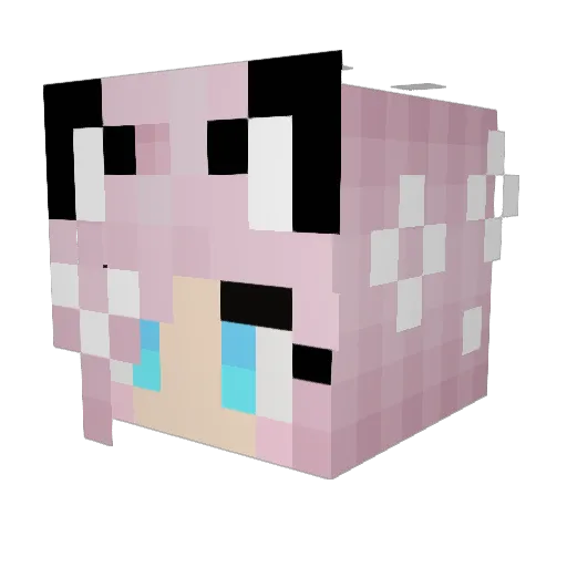 Elturtleo Minecraft avatar head, 3D render