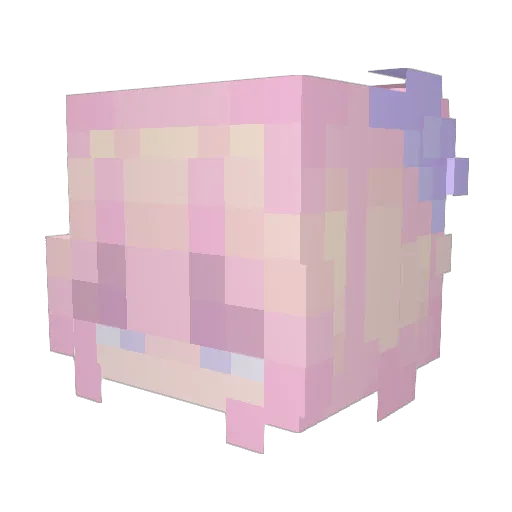 Eluciah Minecraft avatar head, 3D render