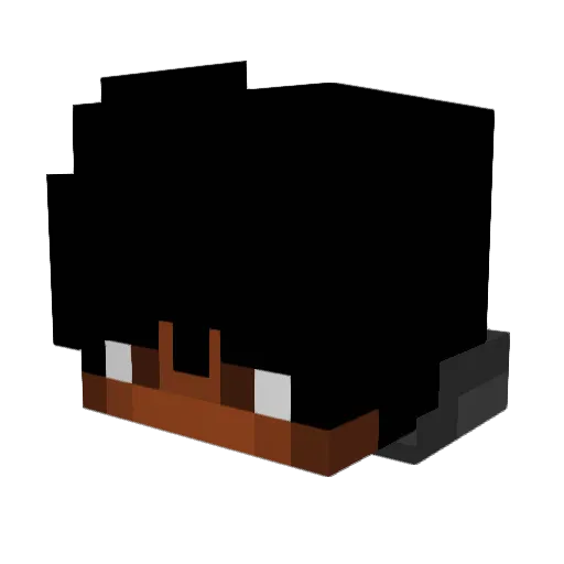 Eluckyluke Minecraft avatar head, 3D render