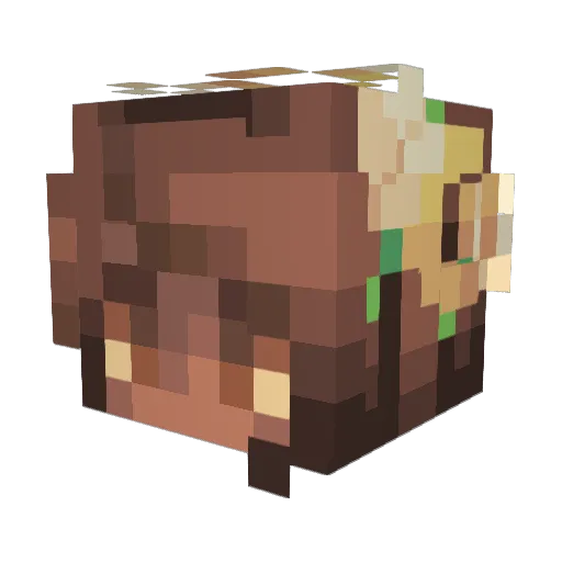 Eluna92 Minecraft avatar head, 3D render