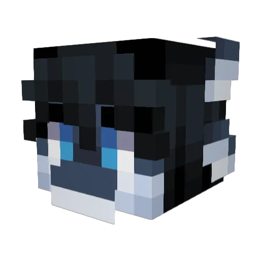 Elusionair Minecraft avatar head, 3D render