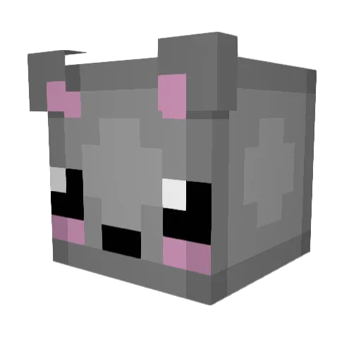 Elusiphe Minecraft avatar head, 3D render