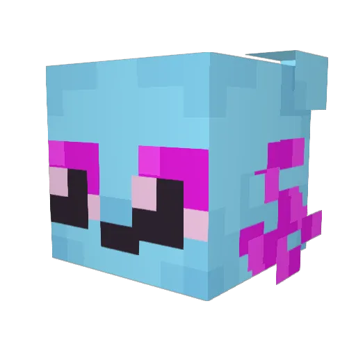 ElusiveCrawfish Minecraft avatar head, 3D render