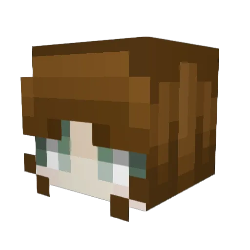 Elusive_Pixie Minecraft avatar head, 3D render