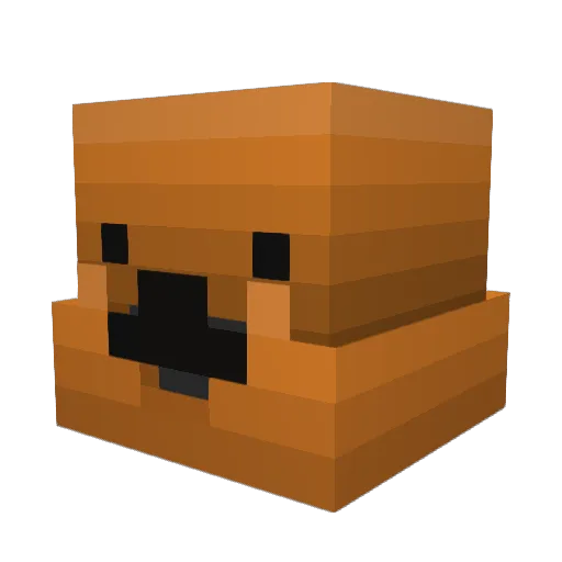 Elusive_Pootis Minecraft avatar head, 3D render