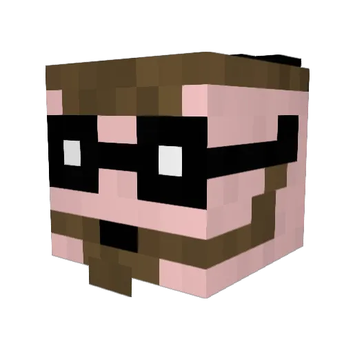 Elusivepal Minecraft avatar head, 3D render