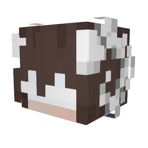 Elveniaa Minecraft avatar head, 3D render