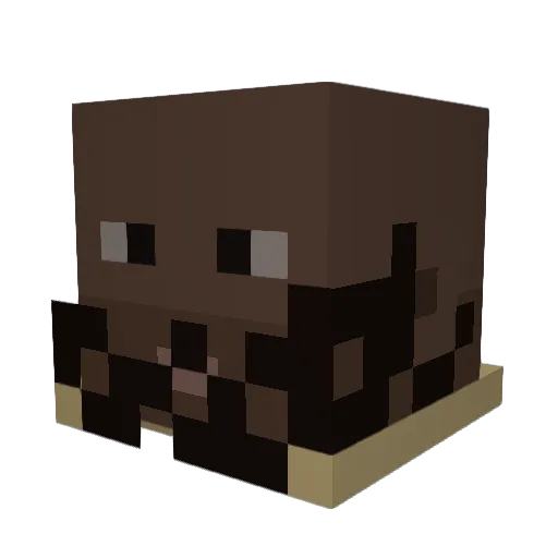 Elverdolagas24 Minecraft avatar head, 3D render