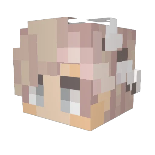 Elvin_SE Minecraft avatar head, 3D render