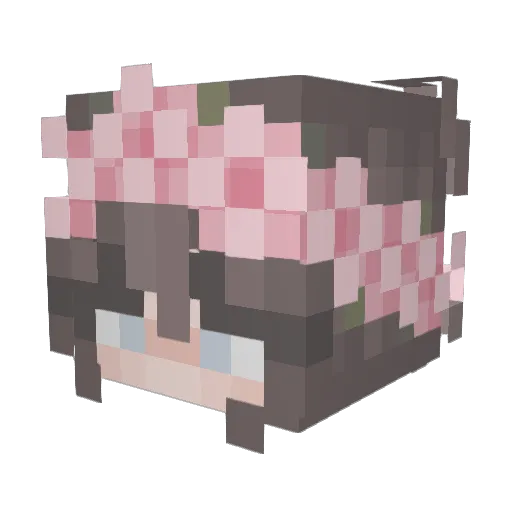 Elviradebruin Minecraft avatar head, 3D render
