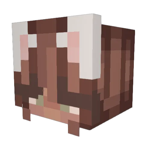 Elvis_Presleyy Minecraft avatar head, 3D render