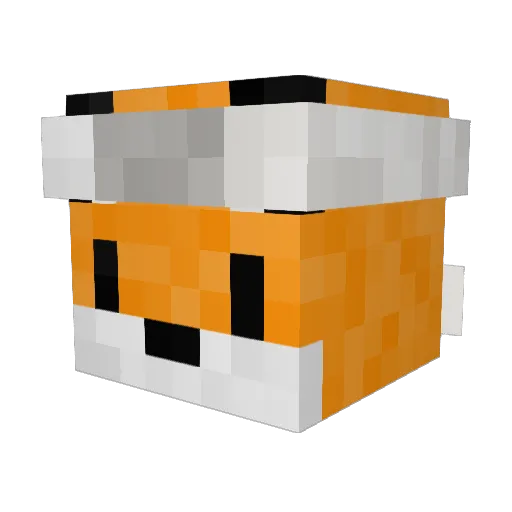 Elvon21 Minecraft avatar head, 3D render