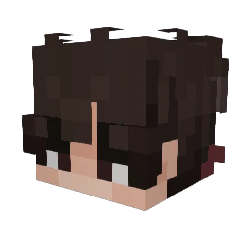 Elweane Minecraft avatar head, 3D render