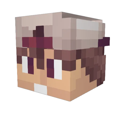 Elwin1337 Minecraft avatar head, 3D render