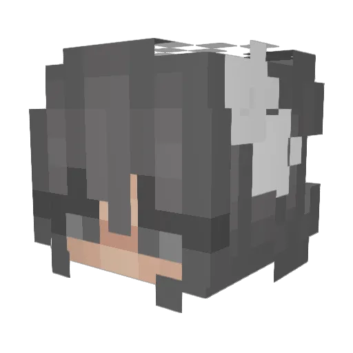 Elwin_Li Minecraft avatar head, 3D render