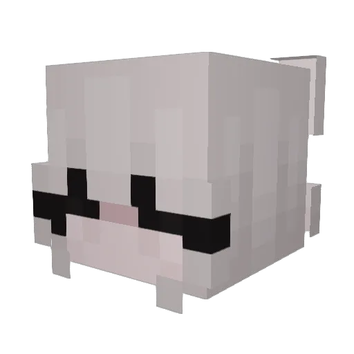 Ely0n_ Minecraft avatar head, 3D render