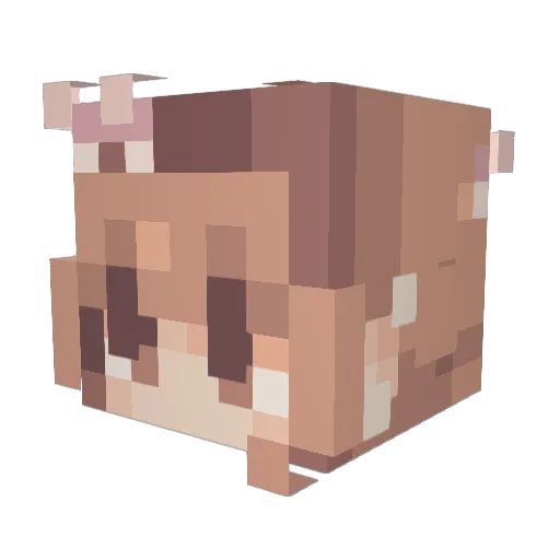 ElyFrosty Minecraft avatar head, 3D render