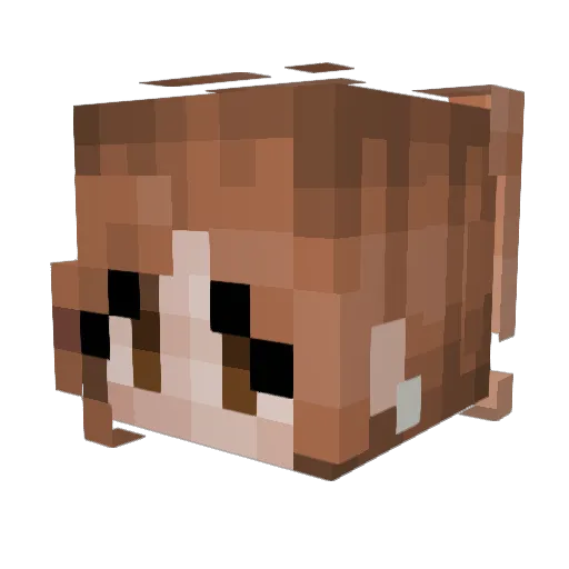 Elyectic Minecraft avatar head, 3D render