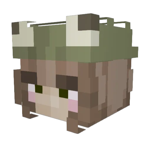 ElynLi3d Minecraft avatar head, 3D render