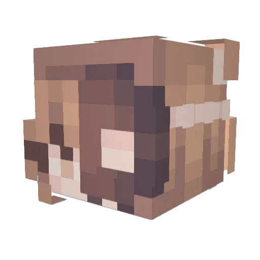 Elyrialy Minecraft avatar head, 3D render