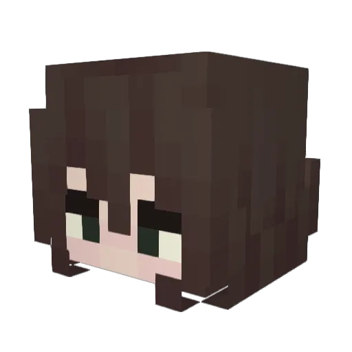 Elyx1an_ Minecraft avatar head, 3D render