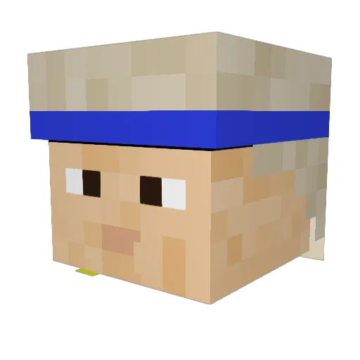 Elzoo91 Minecraft avatar head, 3D render