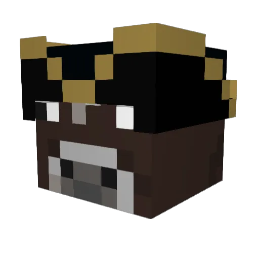 Em0ji_ Minecraft avatar head, 3D render