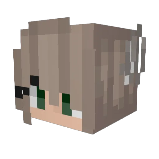 Em4896 Minecraft avatar head, 3D render